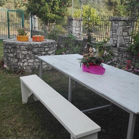 הימארה Green House מראה חיצוני תמונה